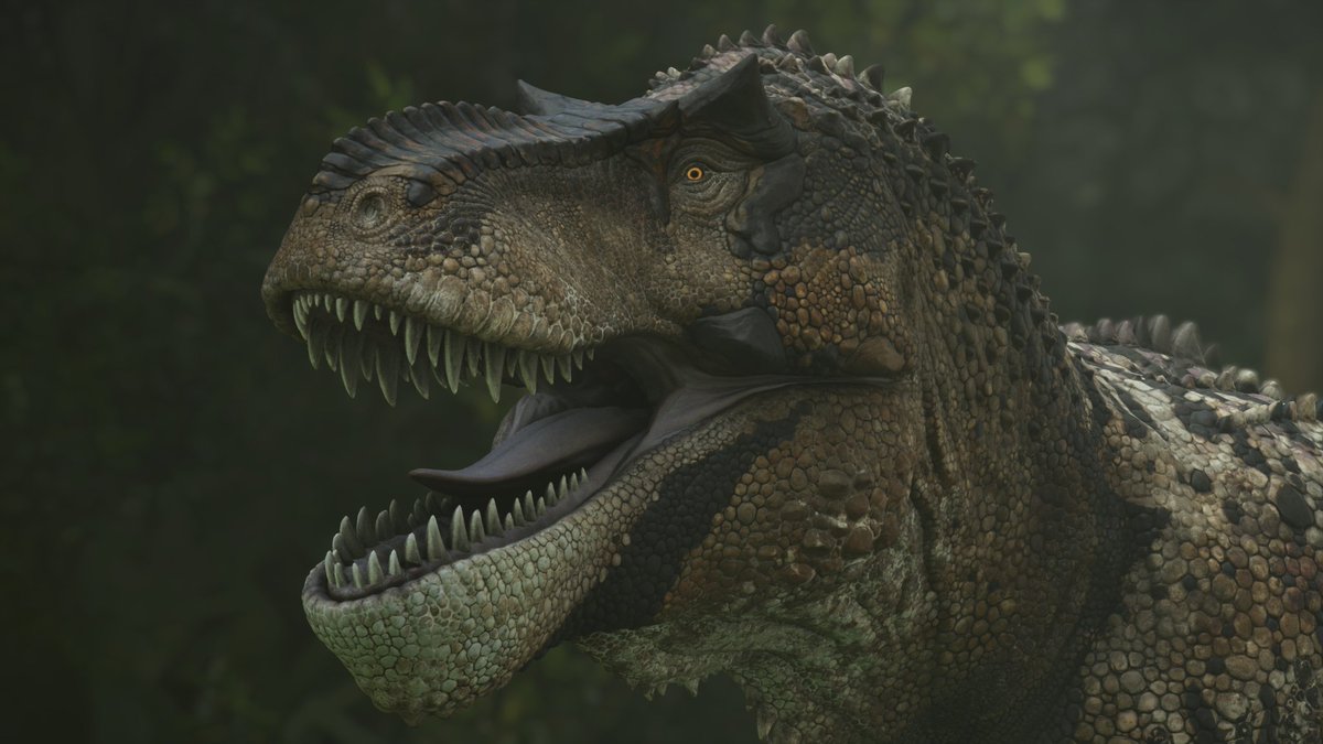 Cameron tweet media