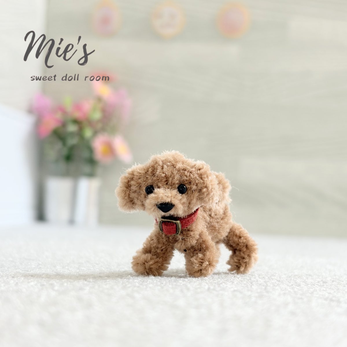 こんばんは、mieです🌸 つぶらな瞳で見つめてくるちいさなトイプー