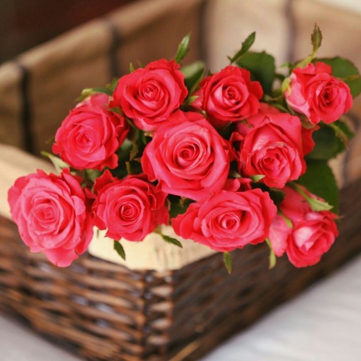 ahmedgo03428358's tweet photo. ٰ
                   حبًّا وسلامًا...
            لمن سكنوا قلوبنا برفق...
    وحافظوا على نقائها من كل وجع....
لمن مرّوا بها كنسمة طمأنينة لا كعاصفة....
     فاستحقّوا أن يبقوا دعاءً لا يُنسى...
               وودًّا لا يخفت...❤ https://t.co/V4jJSLXr97