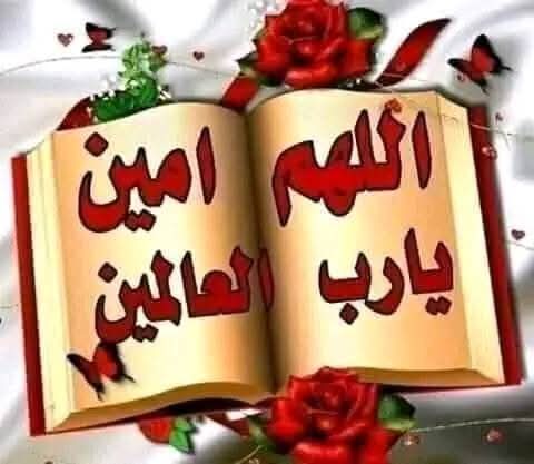 rasouly،🇵🇸7️⃣ اكتوبر dalily rasouly dalily tweet media
