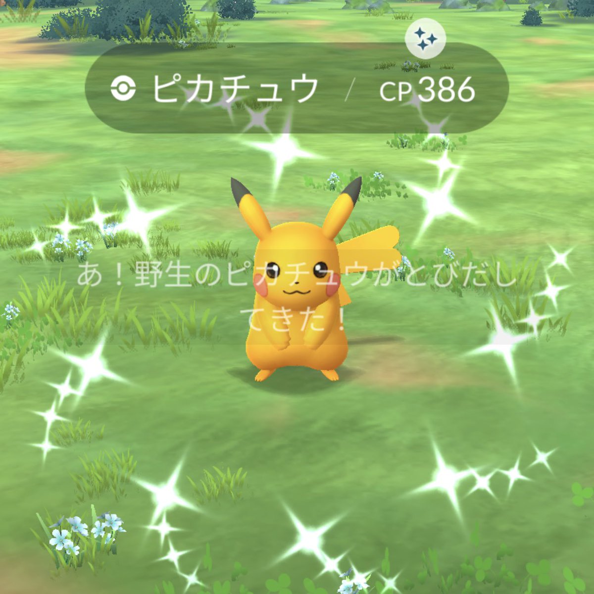 MA🤍ྀིポケモンGO tweet media