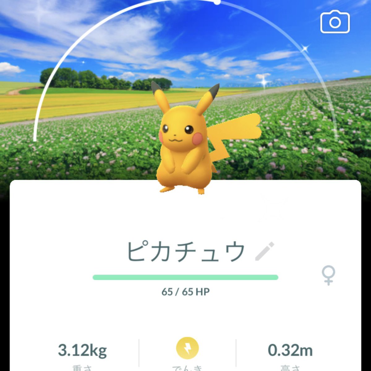 MA🤍ྀིポケモンGO tweet media