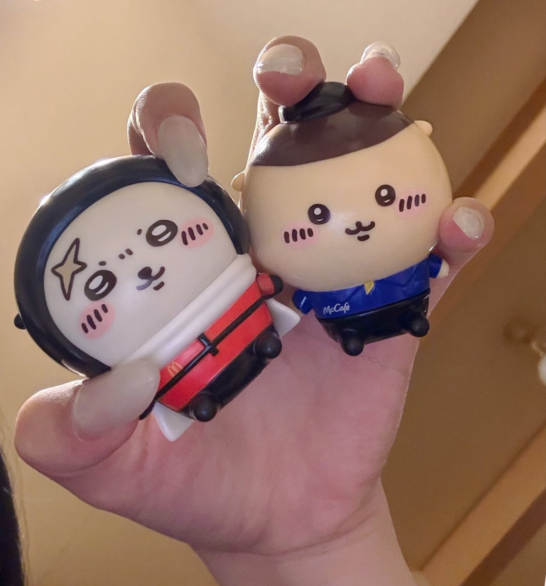 hachitann_'s tweet photo. 結構大きくてびっくりした❕
撮り方が壊滅的すぎる https://t.co/IgvW9bXQT2