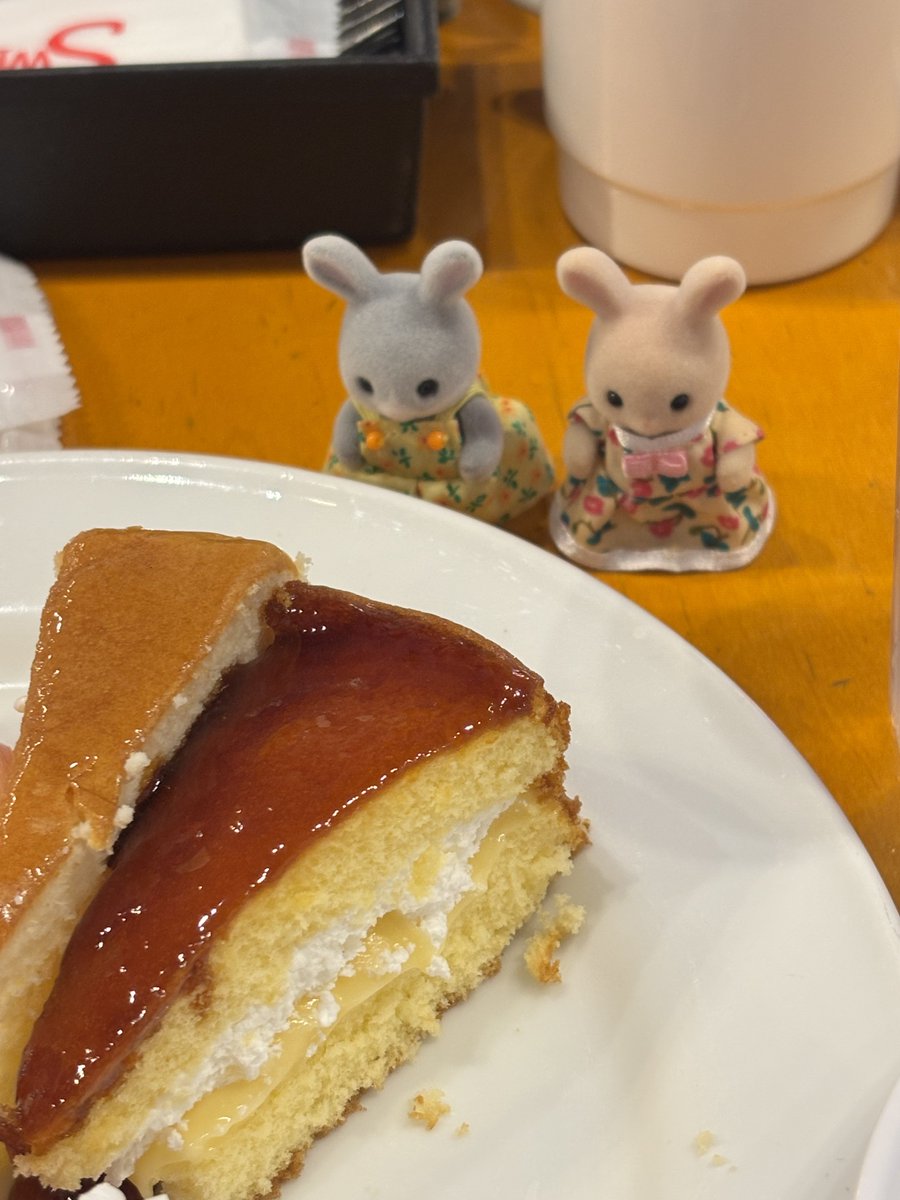 wIdofsheep's tweet photo. スイパラ🍰😄

#シルバニア #シルバニアファミリー
#シルバニアファミリー赤ちゃん
#シルバニアファミリー好きな人と繋がりたい https://t.co/Y42fPpd2Ut
