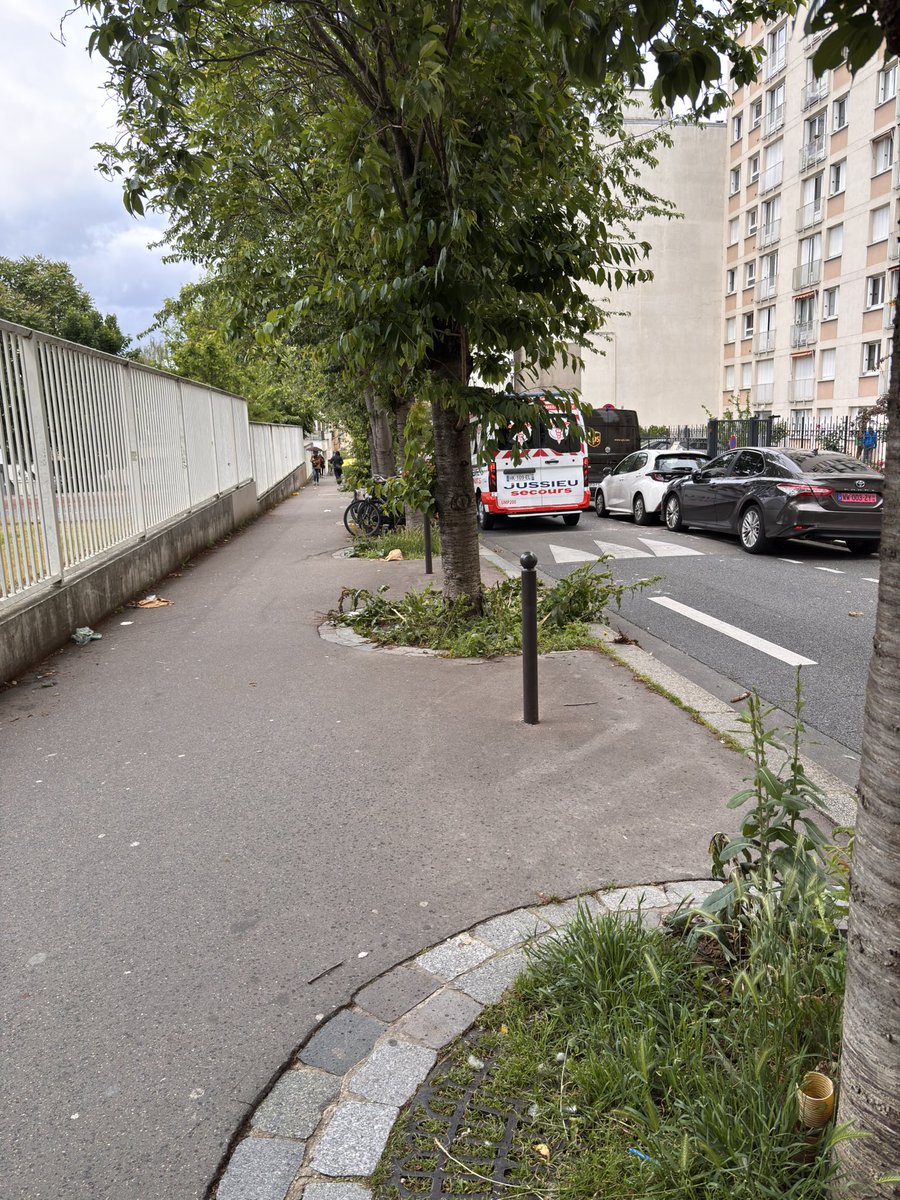K6Fatale's tweet photo. @jerome_coumet le 13e poubelle #ruedumeril si ça peut être nettoyer merci #paris13 https://t.co/vKHFeiuxFW