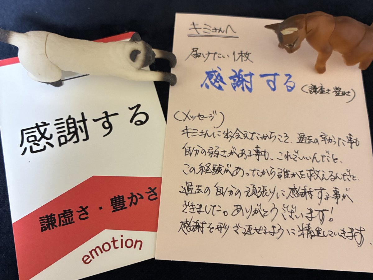 🌿時光凜｜本音を引き出す人事 tweet media