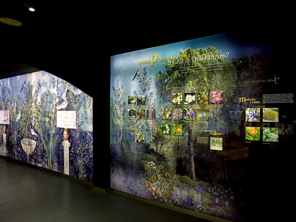 Museu de Badalona tweet media