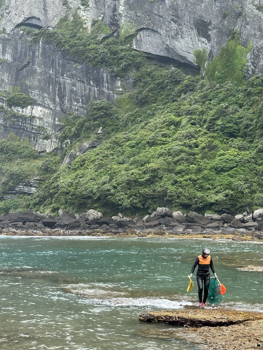 blocaus00's tweet photo. A l'illa de Jeju, ç
Les Haenyeo 🐚🧜‍♀️. Comunitats de dones, moltes de més de 70 anys, que busquen marisc al fons de l'oceà sense oxigen. Una lliçó de sostenibilitat i resistència que s’ha de conèixer. 
🇰🇷 #JejuIsland #Cultura https://t.co/JxIXGP8sT2