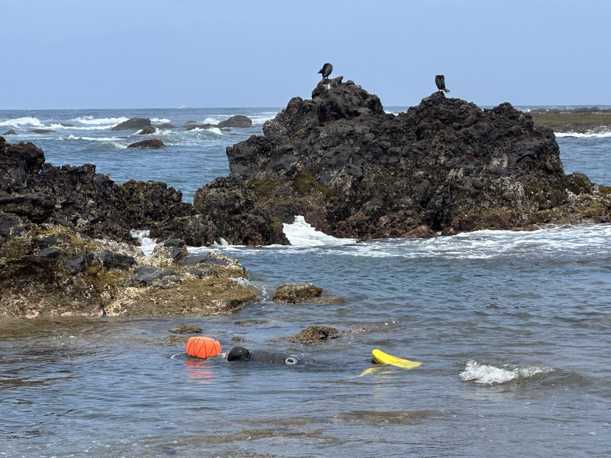 blocaus00's tweet photo. A l'illa de Jeju, ç
Les Haenyeo 🐚🧜‍♀️. Comunitats de dones, moltes de més de 70 anys, que busquen marisc al fons de l'oceà sense oxigen. Una lliçó de sostenibilitat i resistència que s’ha de conèixer. 
🇰🇷 #JejuIsland #Cultura https://t.co/JxIXGP8sT2