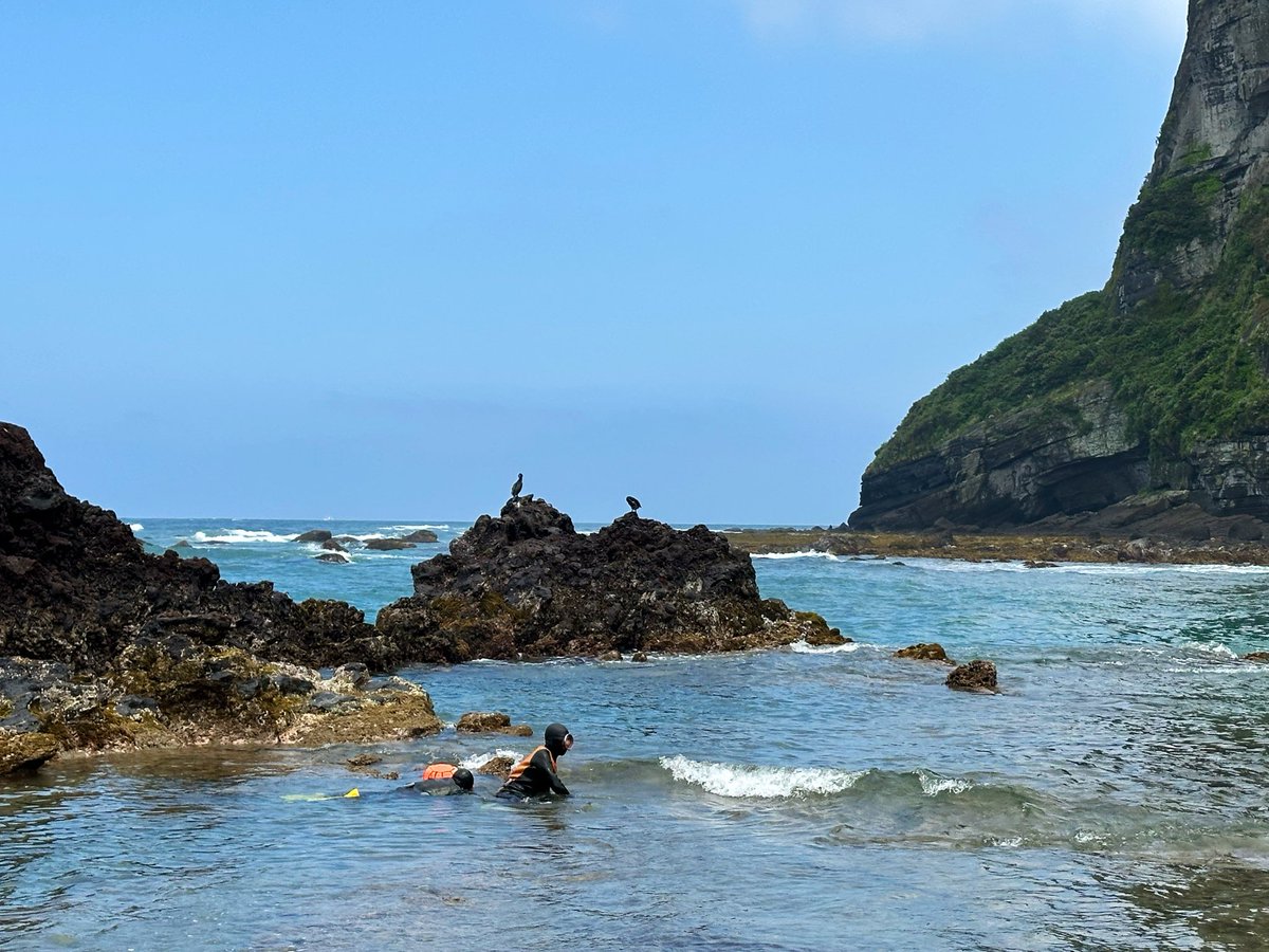 blocaus00's tweet photo. A l'illa de Jeju, ç
Les Haenyeo 🐚🧜‍♀️. Comunitats de dones, moltes de més de 70 anys, que busquen marisc al fons de l'oceà sense oxigen. Una lliçó de sostenibilitat i resistència que s’ha de conèixer. 
🇰🇷 #JejuIsland #Cultura https://t.co/JxIXGP8sT2