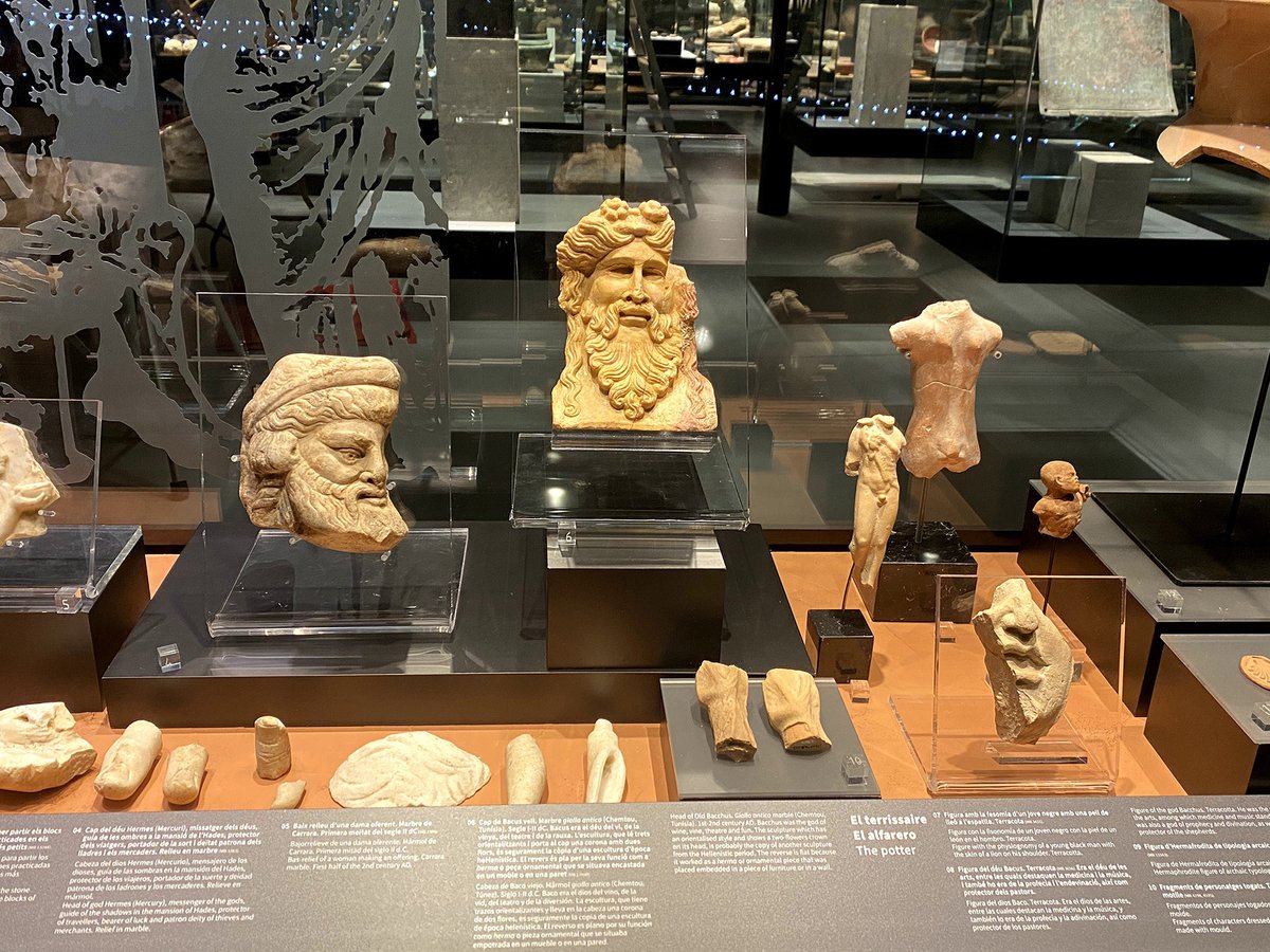 Museu de Badalona tweet media