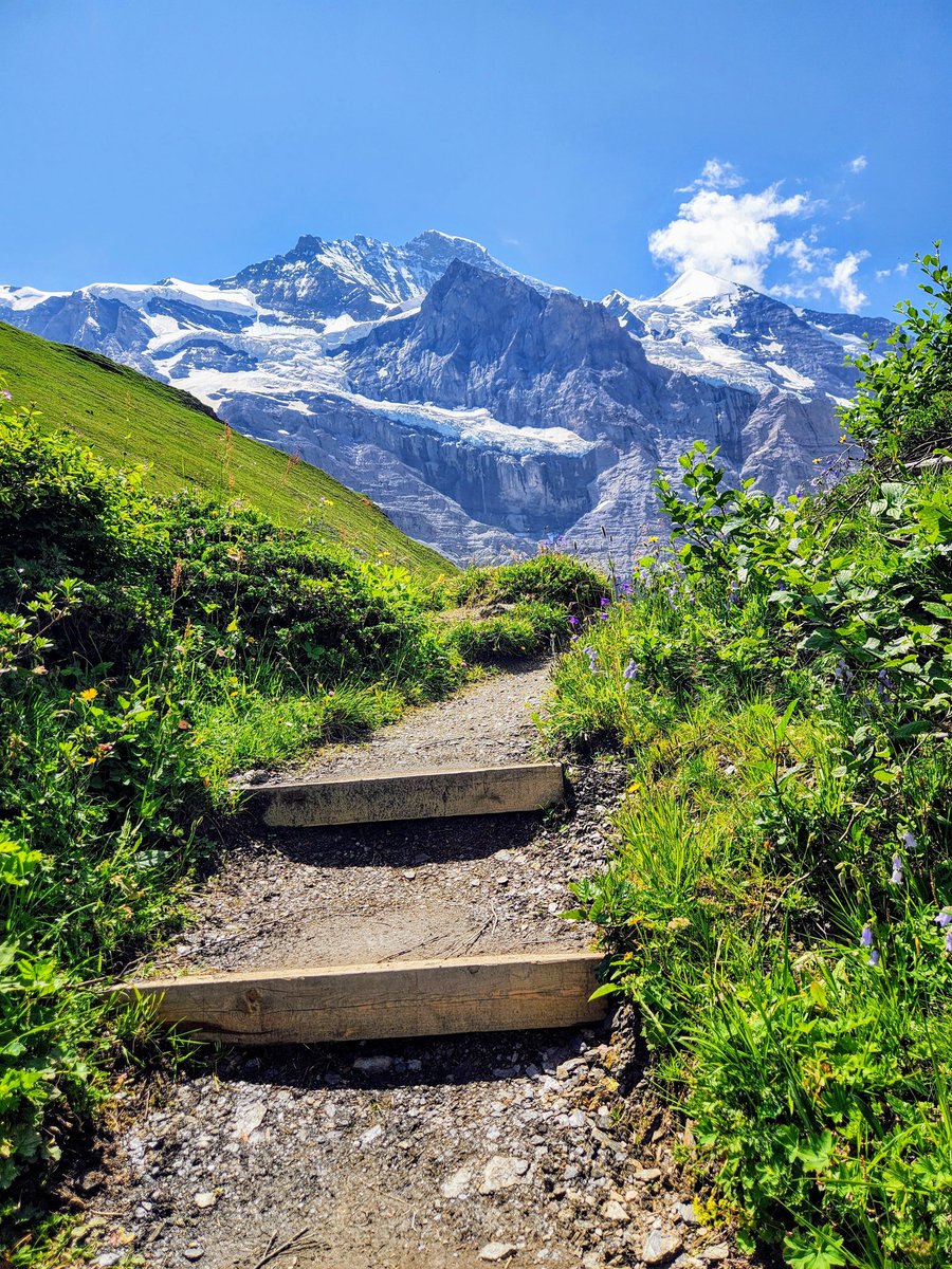 HikingSchweiz's tweet photo. No better place than summer in Switzerland 🇨🇭 https://t.co/TalUZ7uW0M