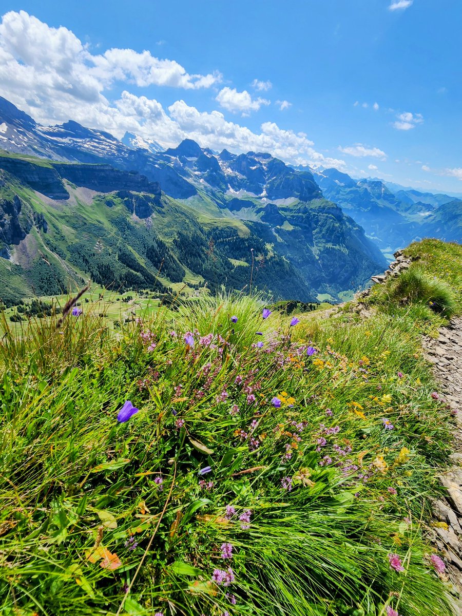 HikingSchweiz's tweet photo. No better place than summer in Switzerland 🇨🇭 https://t.co/TalUZ7uW0M