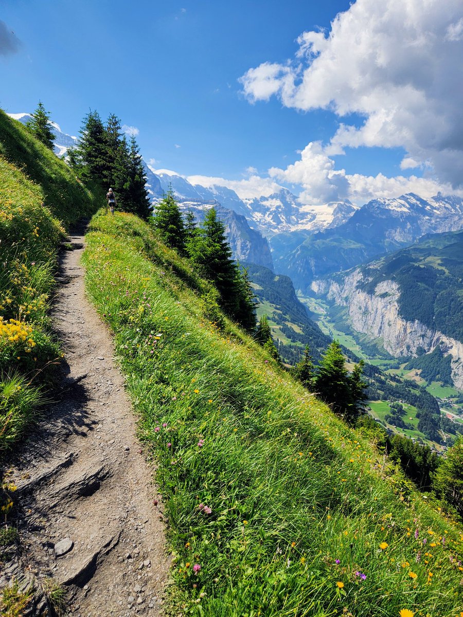 HikingSchweiz's tweet photo. No better place than summer in Switzerland 🇨🇭 https://t.co/TalUZ7uW0M