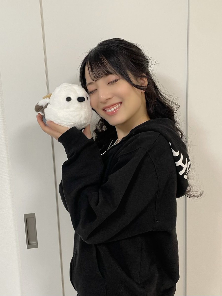 プレゼントでいただいた シマエナガちゃんのぬいぐるみが それはそれは