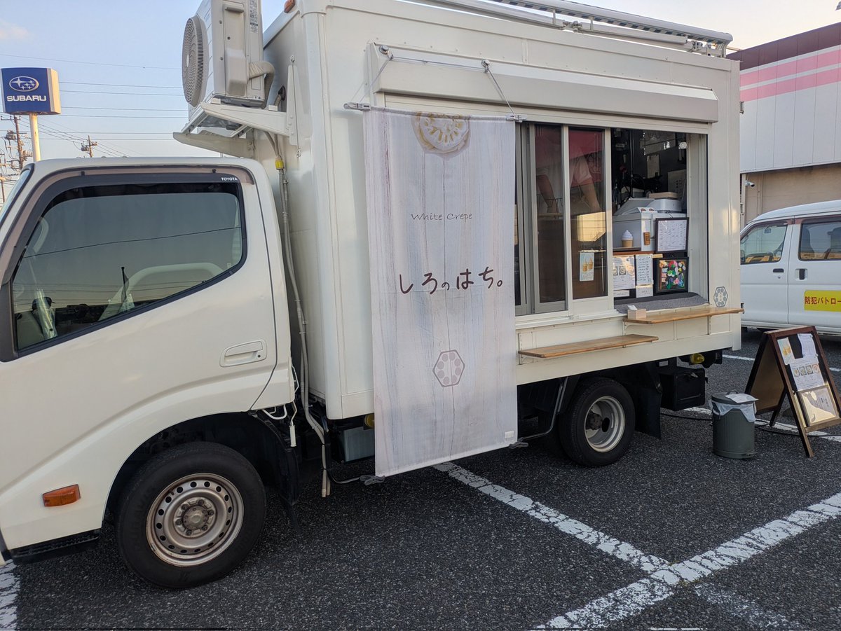 しろのはち。【公式】 (@shiro_no_hachi) / Posts / X