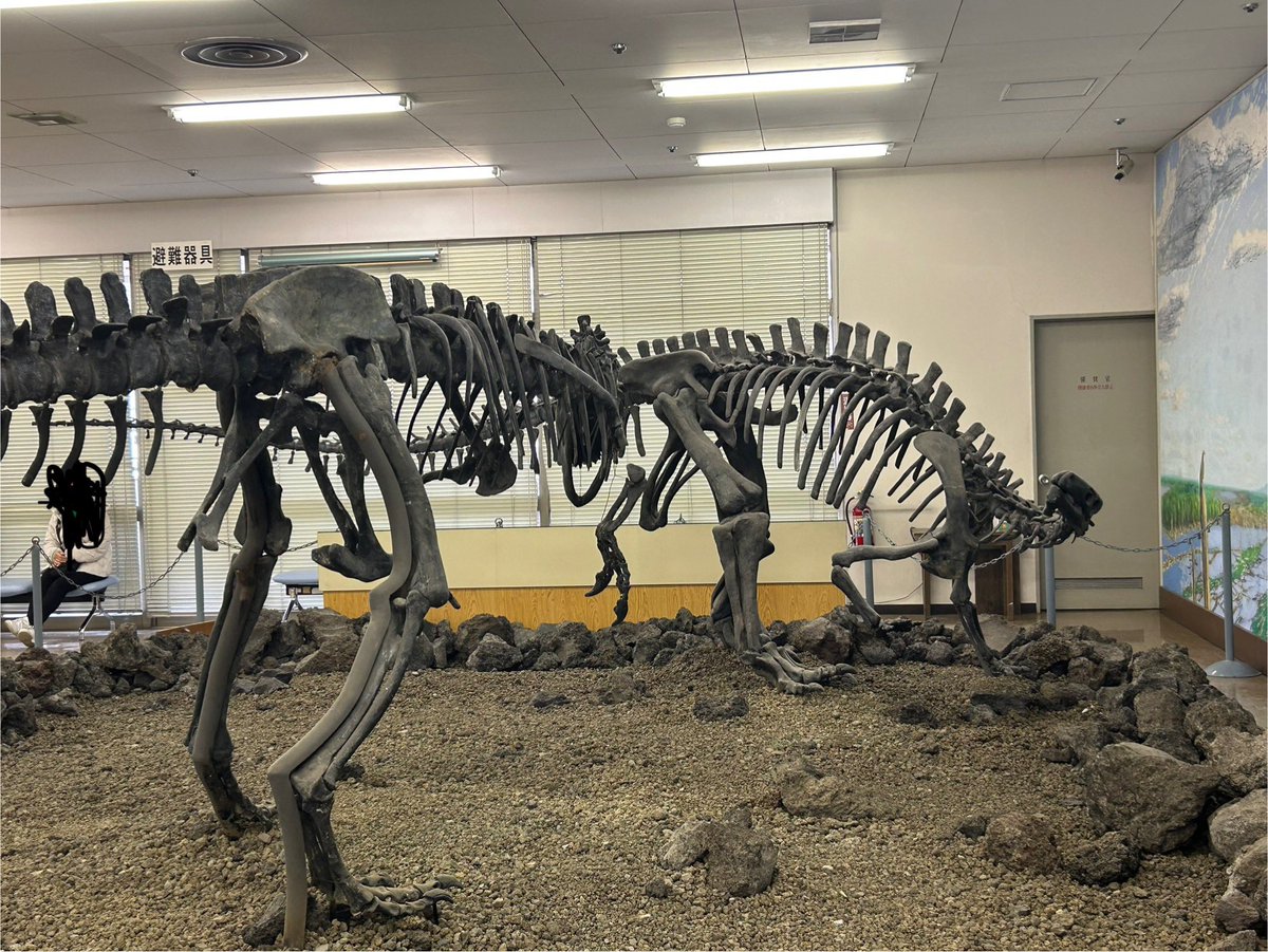化石 金曜日だから化石貼る カンプトサウルスに襲いかかるアロサウルス 写真