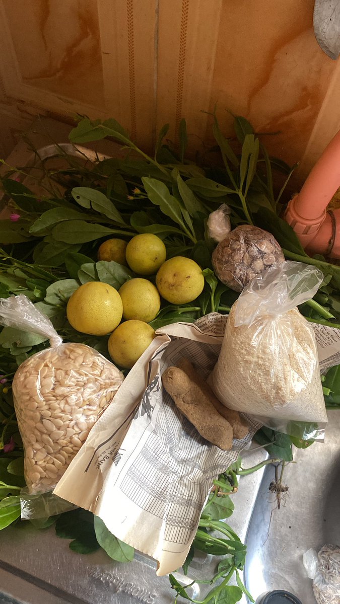 bigshegus's tweet photo. Have a neighbor who plant to give u and sells what u need to cook is gift https://t.co/3agO2Vujl3
