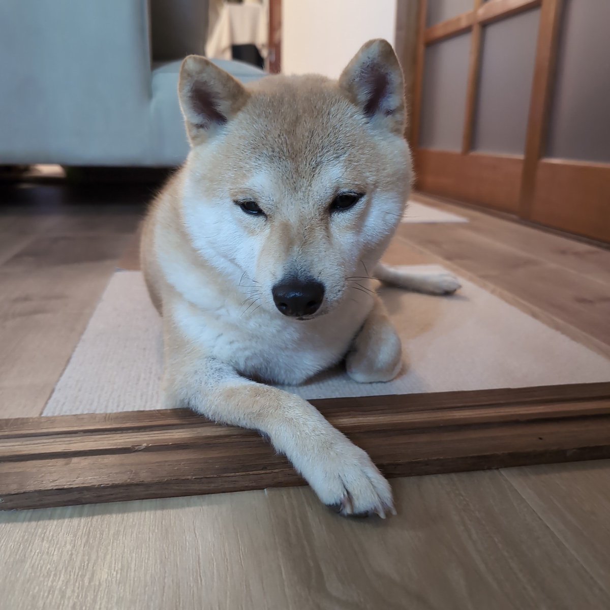 はたけタイプ tweet media