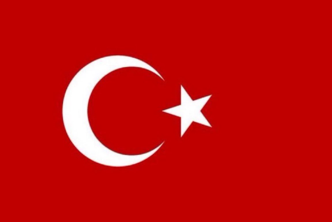 Gökçe Katun tweet media