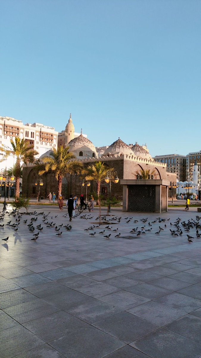 أخبار منطقة المدينة المنورة tweet media