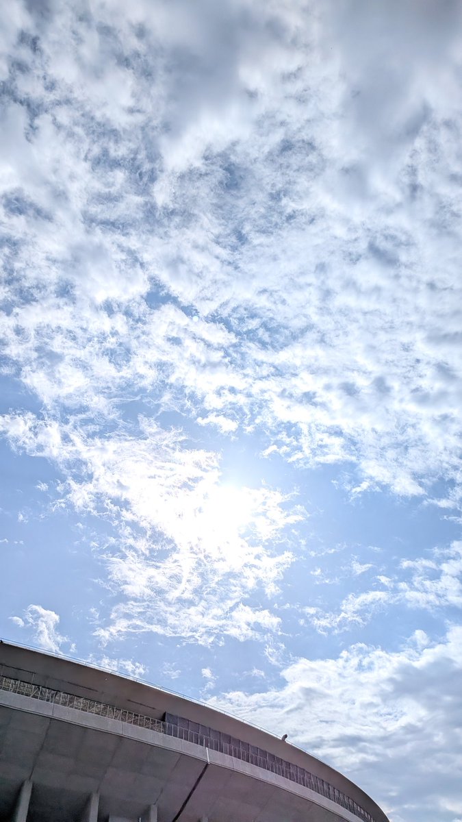 おゆず tweet media