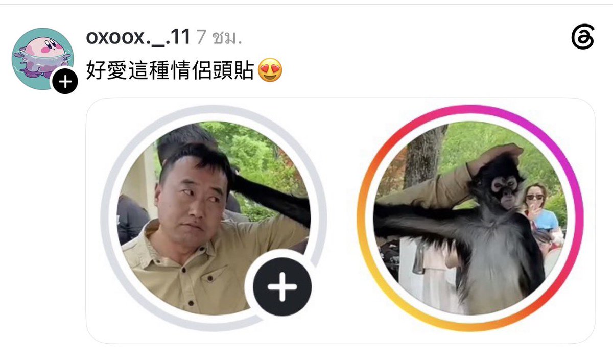 sutiฯ tweet media
