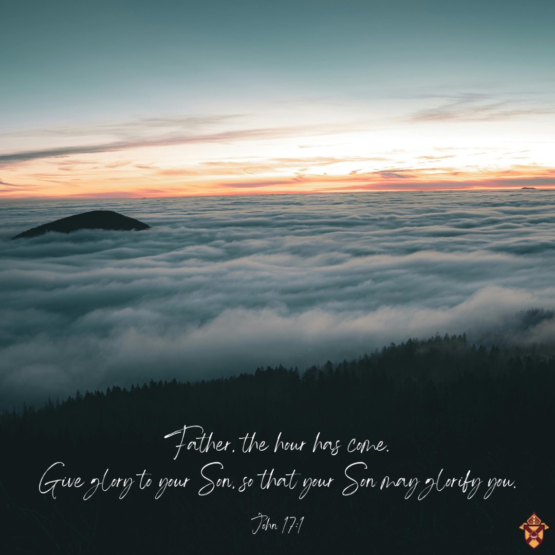 RochDiocese's tweet photo. Father, the hour has come. Give glory to your Son, so that your Son may glorify you. John 17:1 https://t.co/dpx7VZDOpy