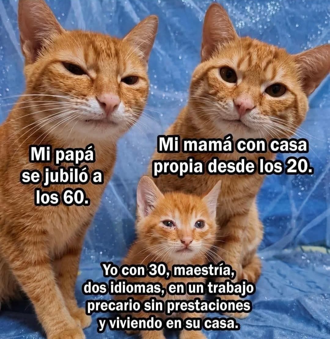 Abogado del Trabajo tweet media