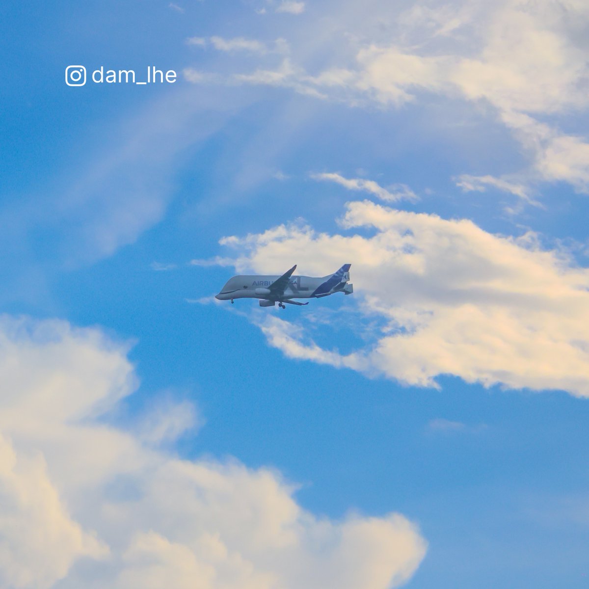 Airbus tweet media