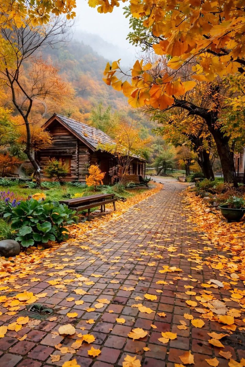 dany_grazia's tweet photo. So beautiful 🧡 https://t.co/Vj7Vw5QQ1t