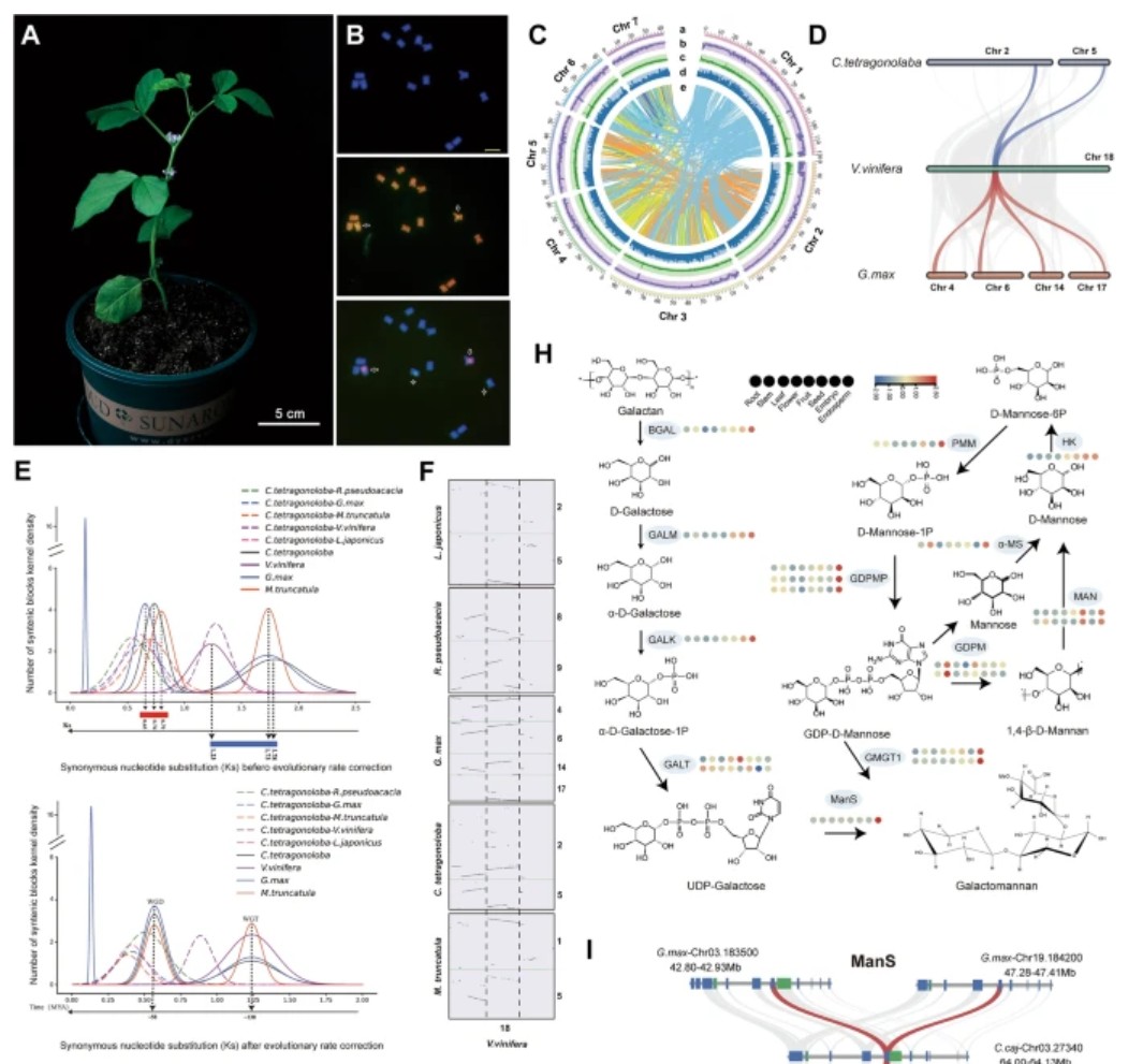 Plant Cell Reports tweet media