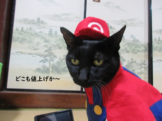 kigurumicyokor1's tweet photo. ブログ更新情報だにゃhttps://t.co/vGtHolBXWR
なんと、ニンテンドースイッチ２が値上げのニュース！
まだ購入してないチョコラはちょっとソワソワ
色々値上げでお財布に厳しい昨今なのですにゃ～(*´Д｀)
＃コスチョコ　＃switch２ https://t.co/7xcobhzgDx