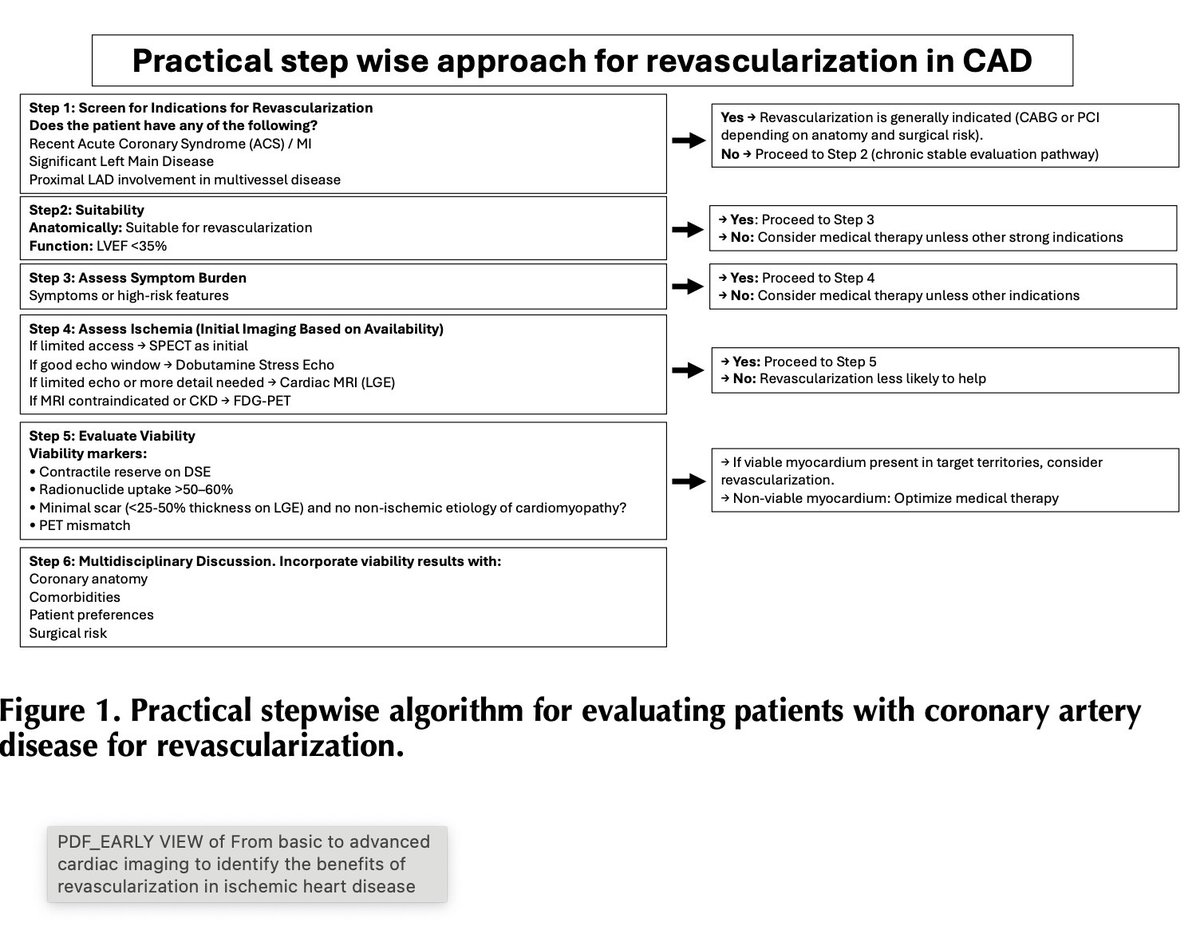 humaid_note's tweet photo. Every #cardiologist has faced this crossroads:#Viable myocardium.#Low EF.
#STICH says:maybe.
#REVIVED says:not necessarily.
So what should we actually do?
Our paper offers a practical, step-by-step approach to decision-making in ischemic LV dysfunction.
📄 https://t.co/SPD5ds3n4H https://t.co/Fp8kdzEhhw