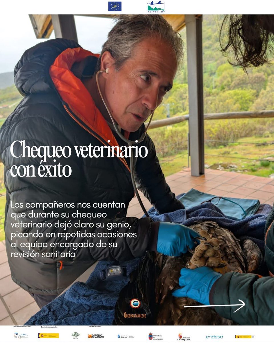 Proyecto LIFE Pro Quebrantahuesos tweet media