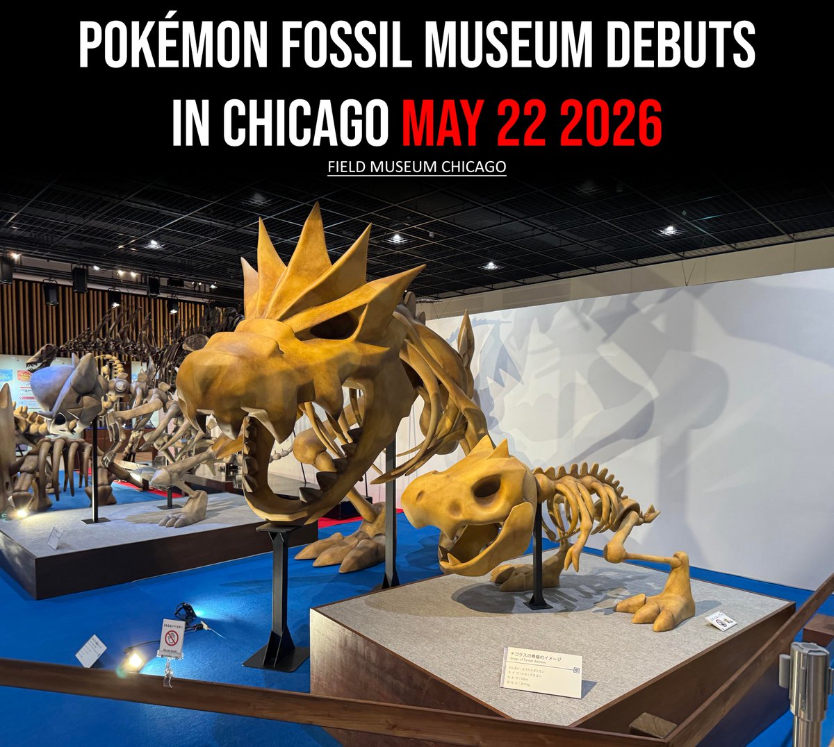 Pokémon Daily Post💫 tweet media