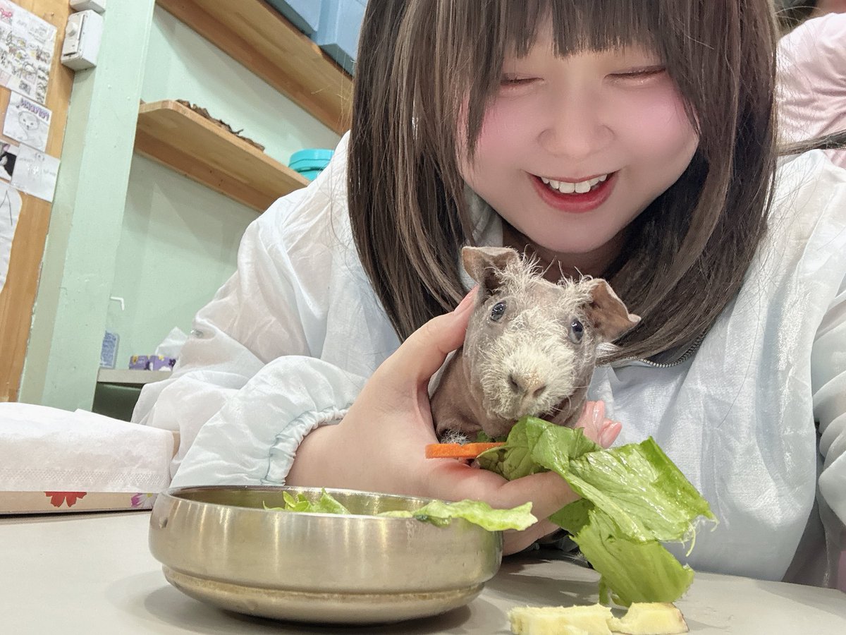 pik0pik0rin's tweet photo. 今日ははむにぎり2匹、、、🐹じゃなくてえりぴよと遊んできた！美味しいもの食べてかわいい子に触れて水族館で癒されてはぴだった！時間経つのが一瞬すぎた( ߹ᯅ߹ )💗 https://t.co/SVfHPW41RA