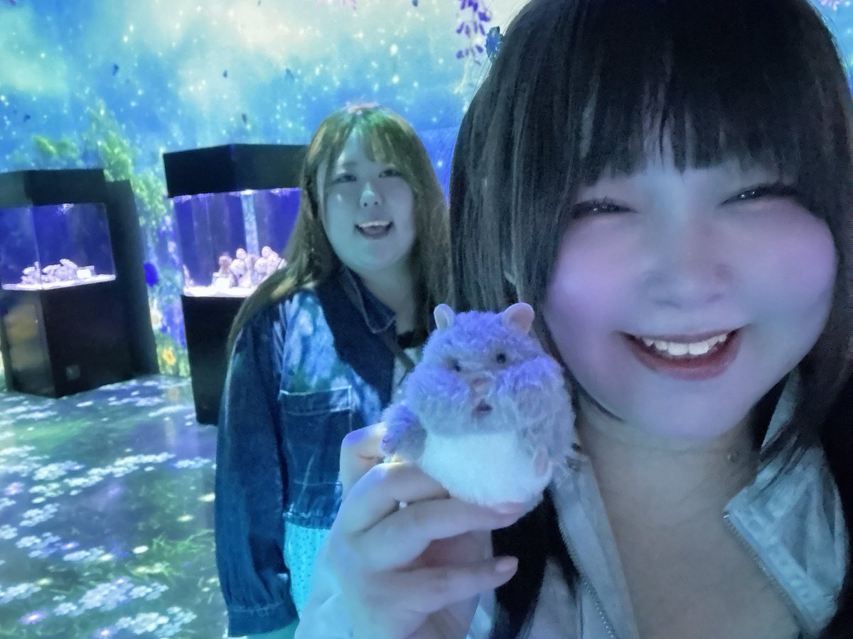 pik0pik0rin's tweet photo. 今日ははむにぎり2匹、、、🐹じゃなくてえりぴよと遊んできた！美味しいもの食べてかわいい子に触れて水族館で癒されてはぴだった！時間経つのが一瞬すぎた( ߹ᯅ߹ )💗 https://t.co/SVfHPW41RA