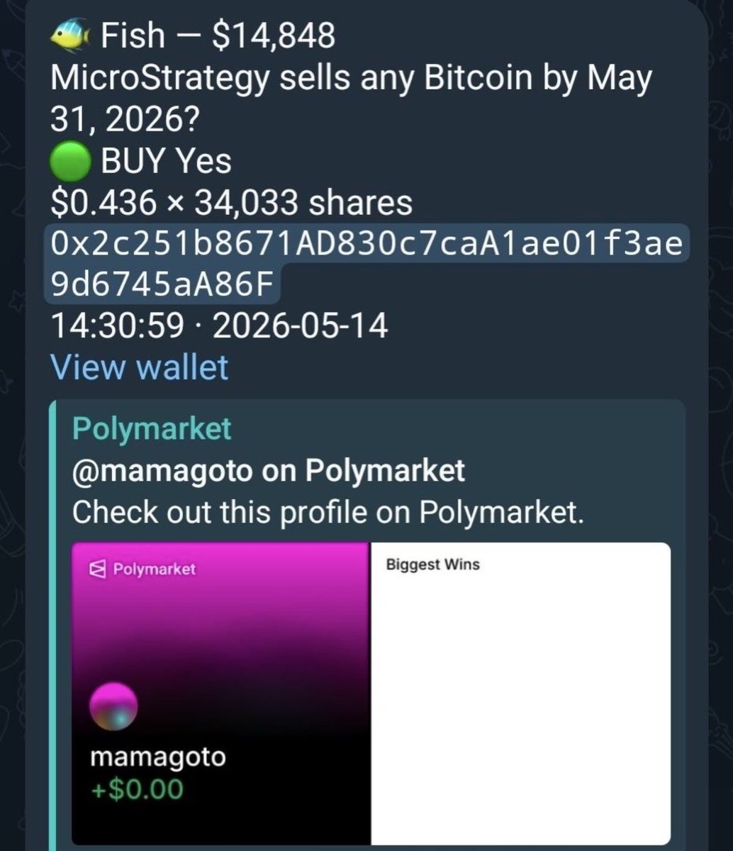 RemPolymarkt's tweet photo. @saurav_tweets Polyintel tracked these wallets early 👀

The interesting part isn’t the bet.

It’s 4 fresh wallets piling into the same outcome. https://t.co/qc9dT73fAI
