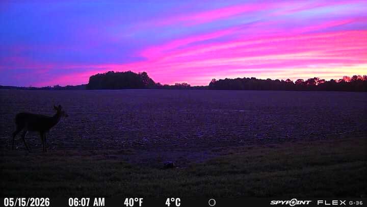 nm_stevo's tweet photo. Cool pic from Ohio this morning. https://t.co/vEx6ZJqdiY