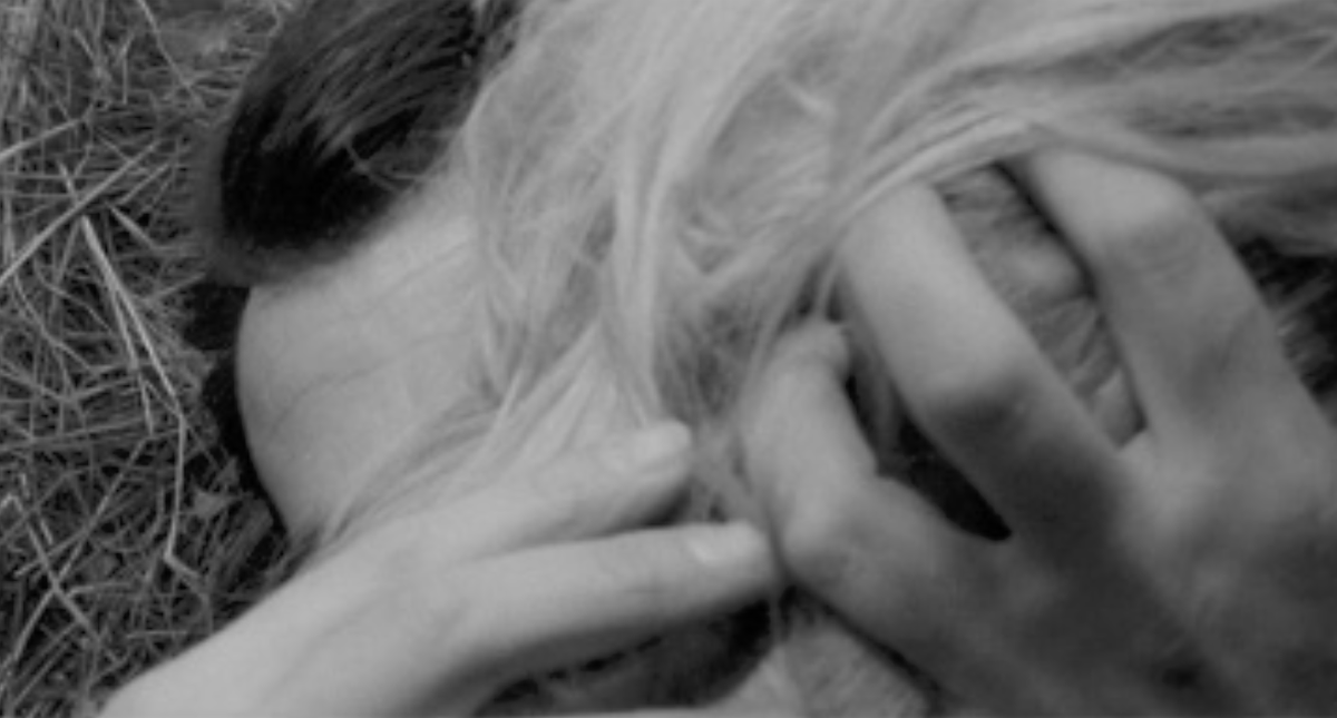 LostInFilm's tweet photo. 'L'Avventura' (1960, Michelangelo Antonioni) https://t.co/8t327ldkuR