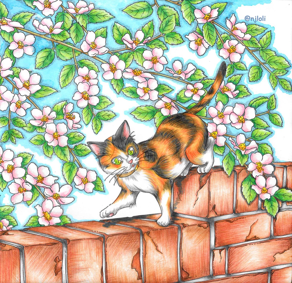 NJ_Loli's tweet photo. Work for the art marathon "Fluffies".🎨
📚Coloring book: 夢みるネコの花の旅～しあわせの鈴をさがして～
😸 Illustrator: by 名司生 https://t.co/cD2dfju07l