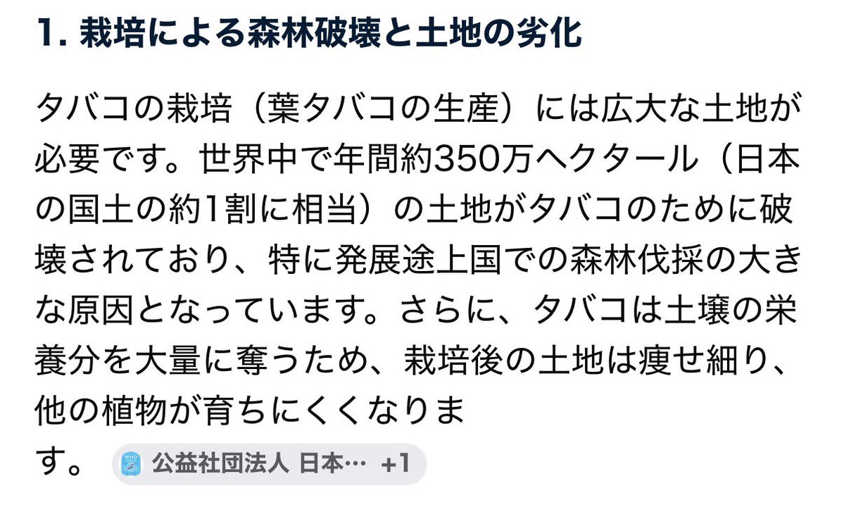 うさみ😈🌸🍀🌼 tweet media