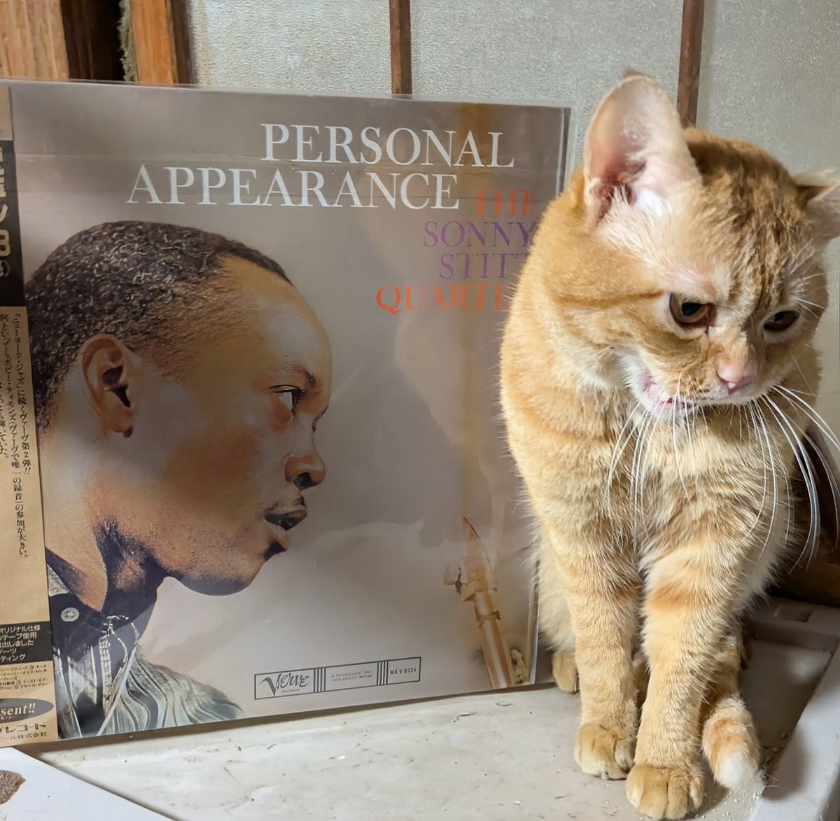 popncat tweet media