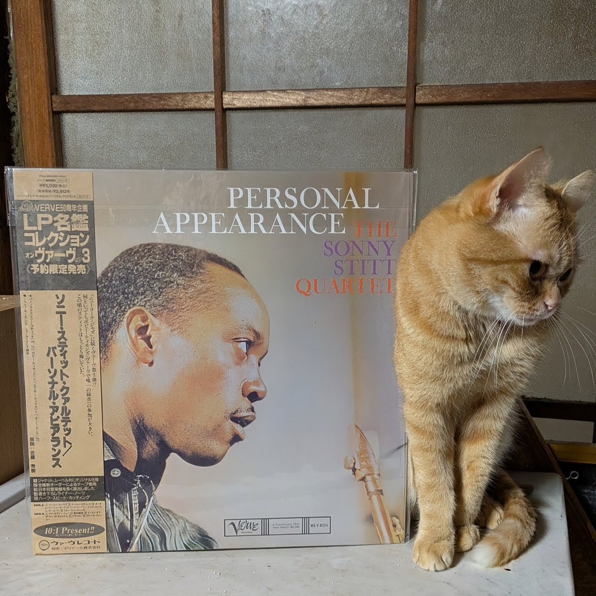 popncat tweet media