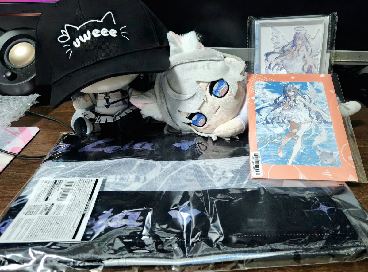 actomic_sg's tweet photo. Zeta's 2025 birthday merch is finally here!! #VestiaZeta #AgentTest3D https://t.co/auxwp6zJU2