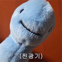 핫 (홋4) tweet media