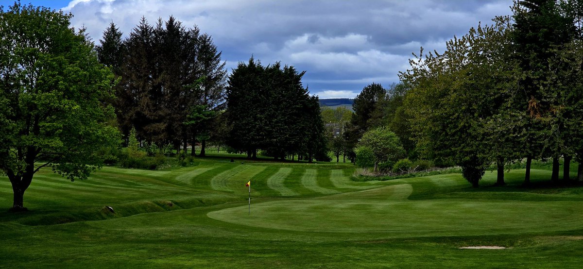 Quietbiglad's tweet photo. Lovely morning for a hit, some very tidy play too boot. The Open tomorrow, course very tidy and a good test for all entrants.
@MilnathortGC @ScottishGolf
#Best9holer #toughie #1over #speccy #Milnathort https://t.co/XJHmgot2g0