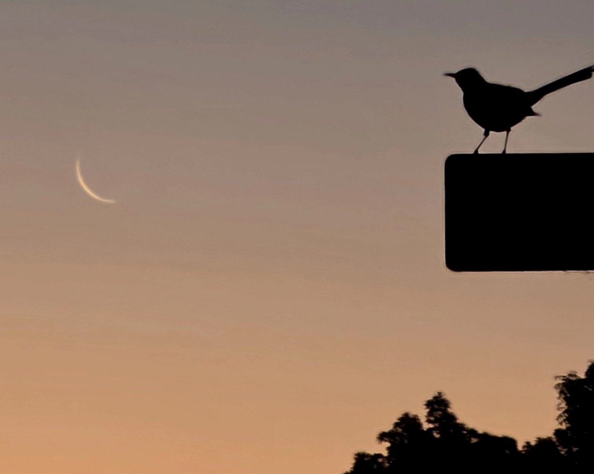 ᒐᥱᥲ ☕︎ tweet media