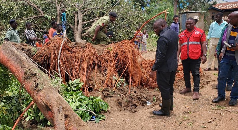 IFRC_DREF's tweet photo. In late March 2026, heavy rains and strong winds triggered severe flooding and landslides in #Tanzania’s Mbeya region, affecting communities in Rungwe and Kyela districts.
With support from the @IFRC_DREF, Tanzania Red Cross (@trcs1962) teams have reached 523 households with shelter support, clean water, health and sanitation assistance, helping address urgent needs among the worst affected communities.
@IFRCAfrica
#DREFinAction